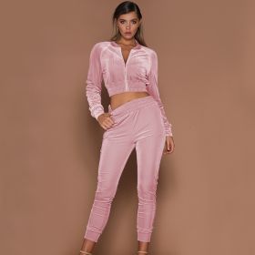 Spring Autumn Winter Linter 2 Piece Set Women Trousers Long Sleeves Solid Zipper Bundle Feet Sportswear Suit Short Pile Fabric (Color: Pink, size: 3XL)